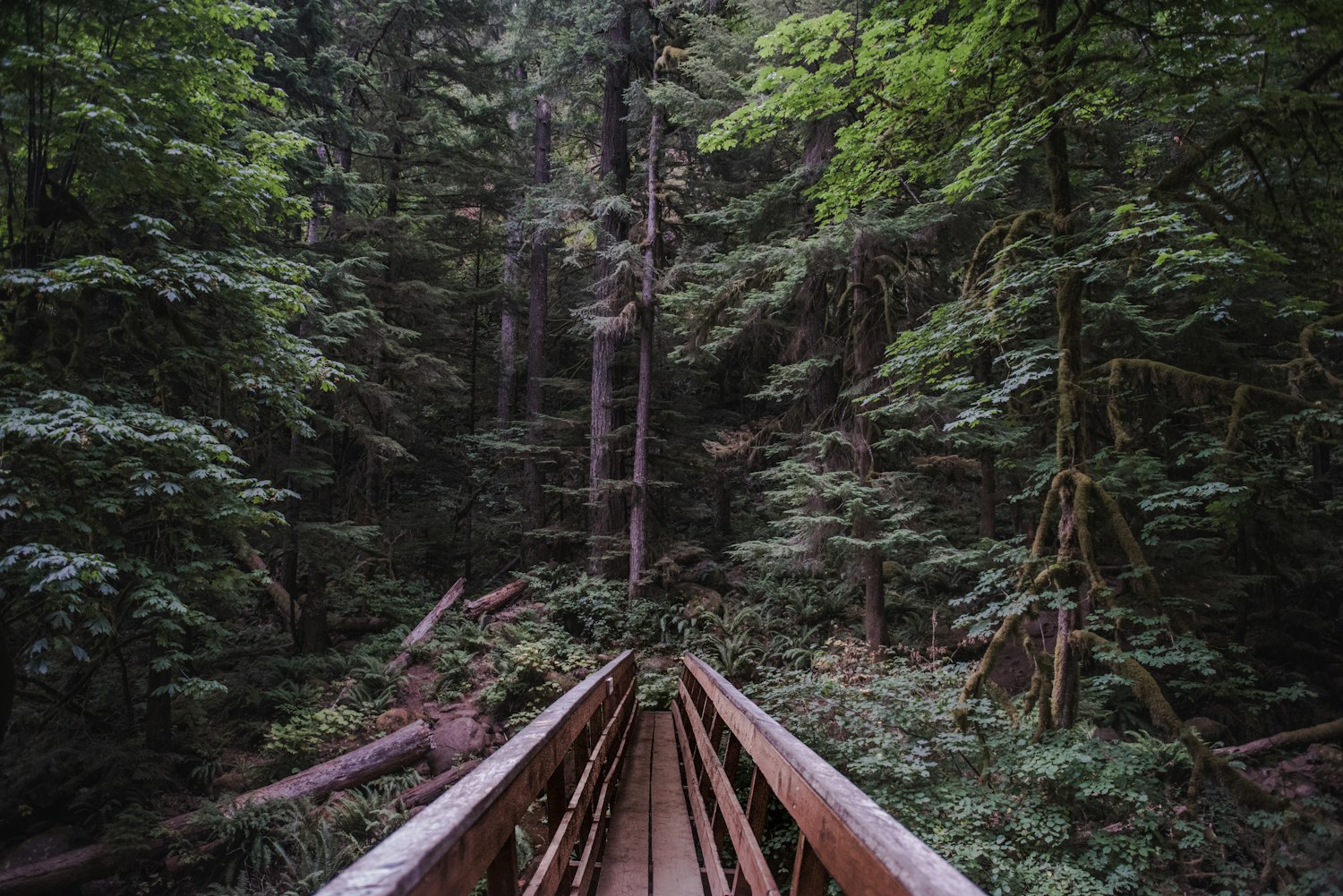 张家界自由行旅游攻略(张家界自由行旅游攻略?4天3晚怎么安排最合理)
