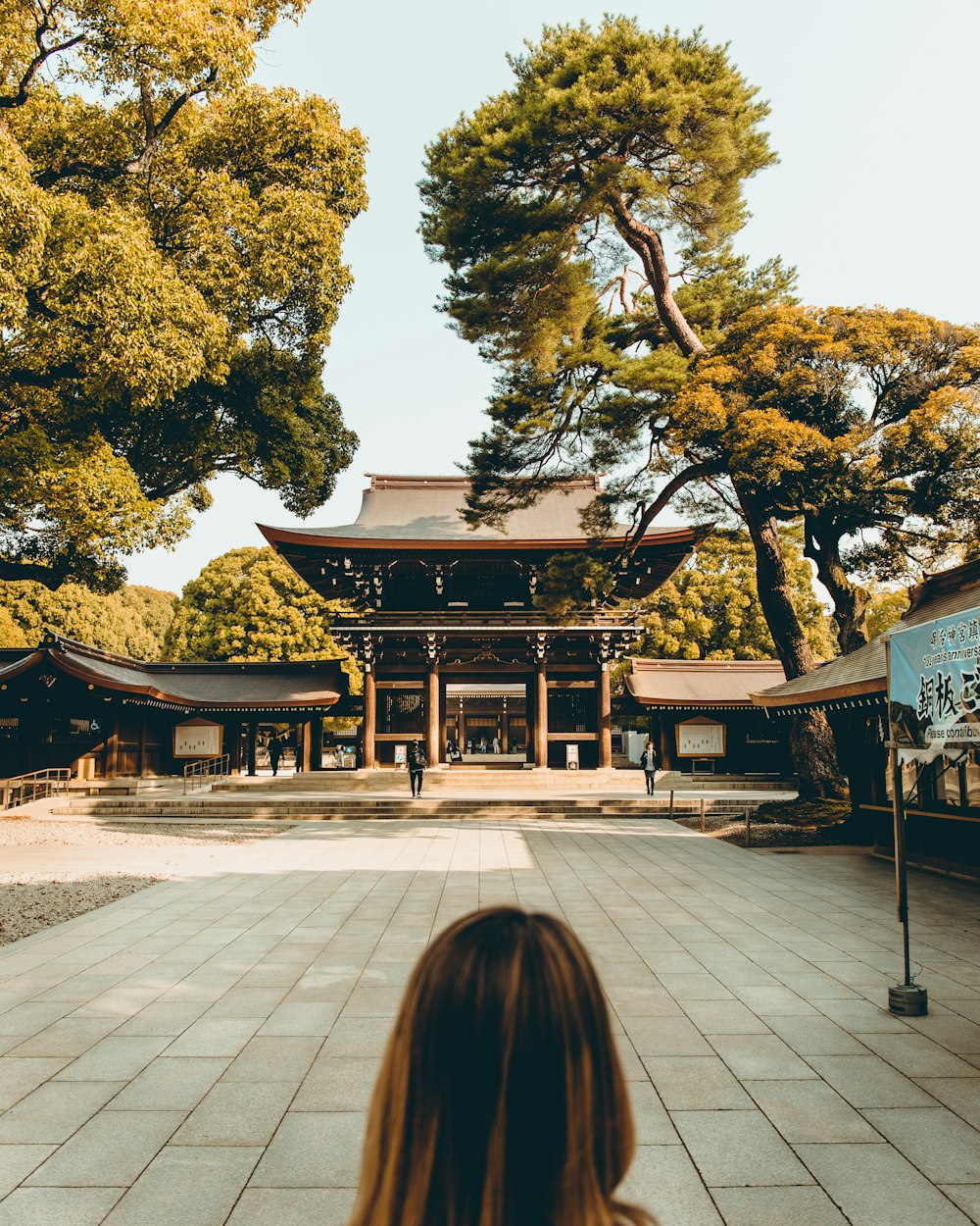 西安旅游.西安旅游34天费用？