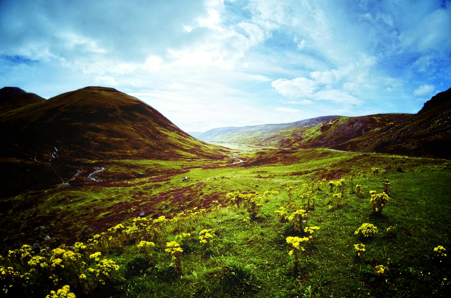 【大理丽江旅游纯玩团,大理丽江旅游景点】