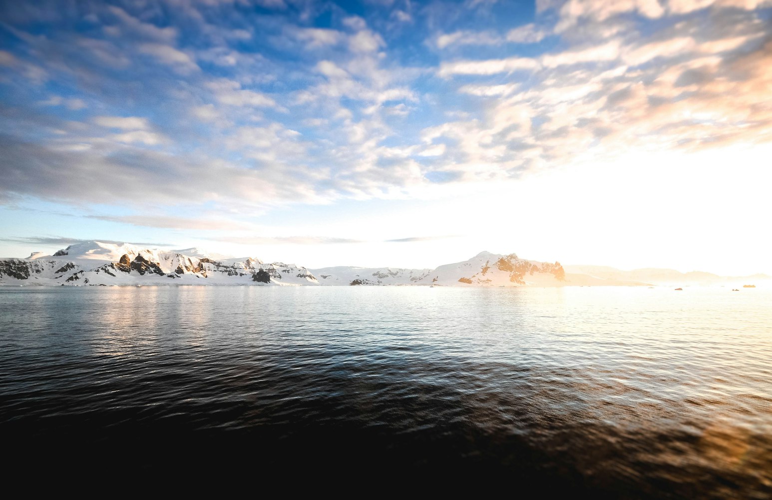 武汉海昌极地海洋世界官方网站(武汉海昌极地海洋世界入园须知) 武汉海昌极地海洋世界官方网站(武汉海昌极地海洋世界入园须知)