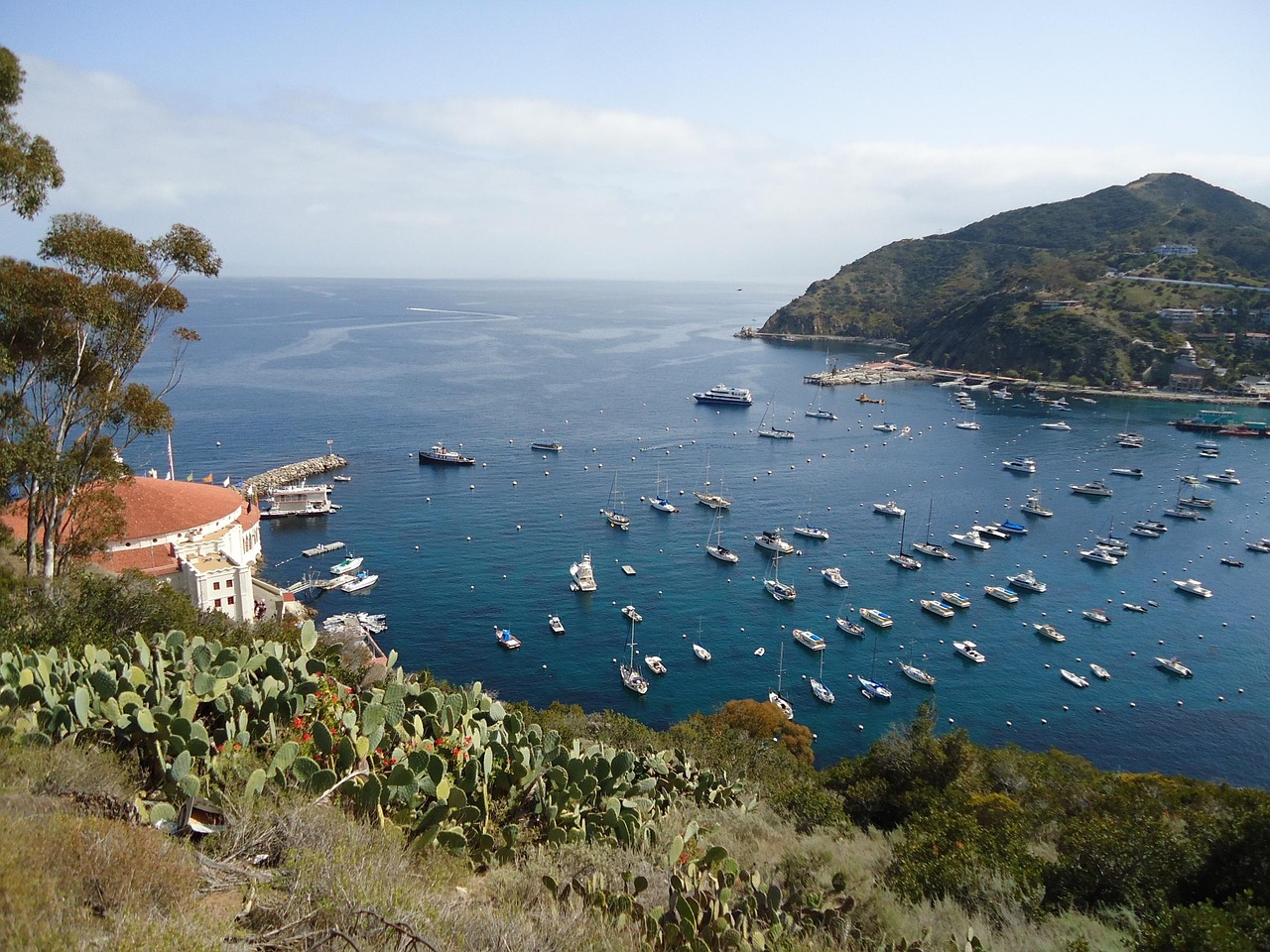 国内有多少地区没有疫情/近来全国多少个省没有疫情