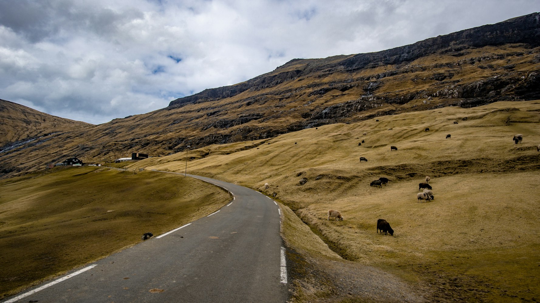 丽江旅游股票/丽江旅游股票行情