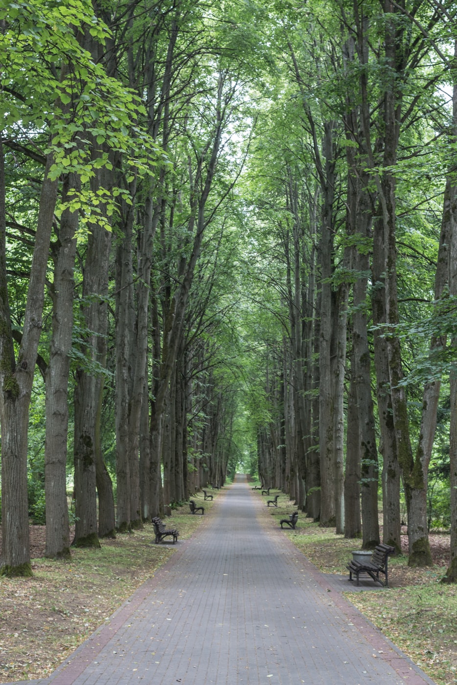 【大自然风景图片,大自然风景图片最美】