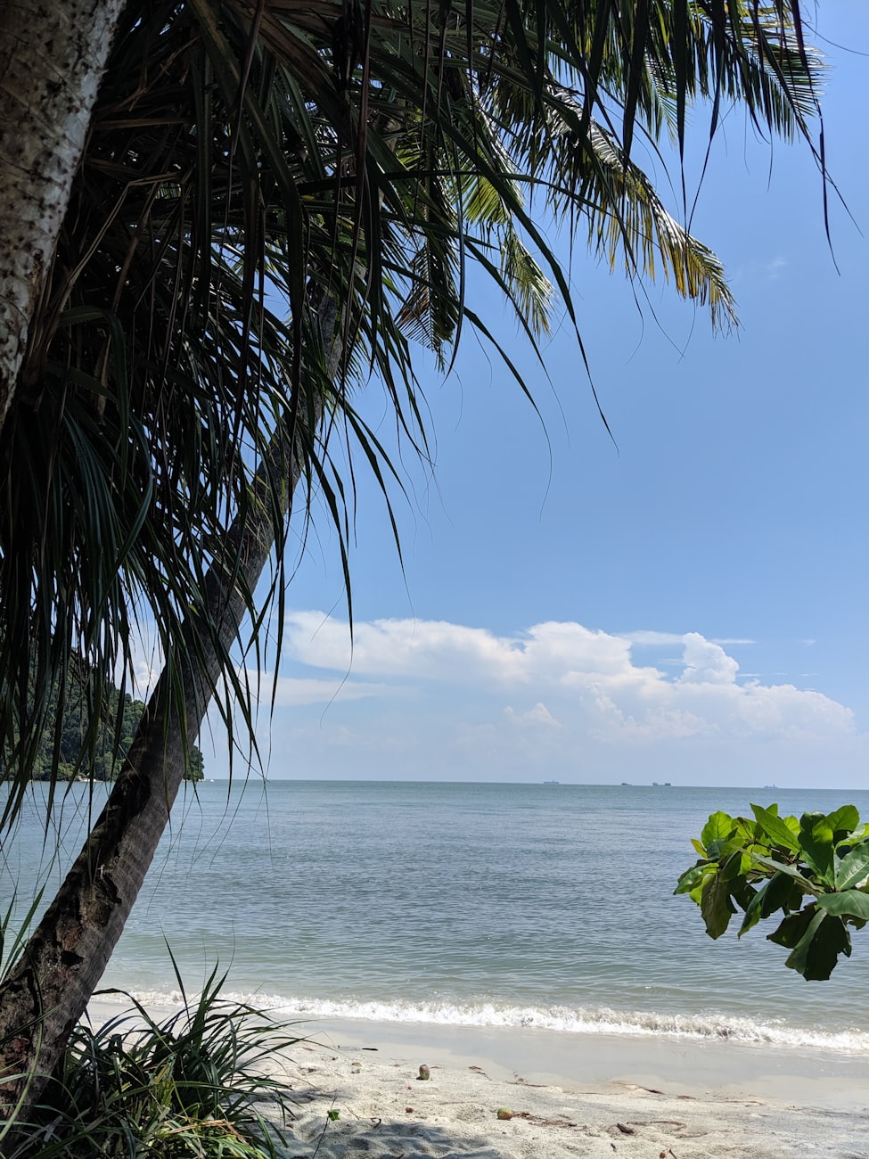 三亚风景图片大全高清(三亚风景图片大全高清视频) 三亚风景图片大全高清(三亚风景图片大全高清视频)