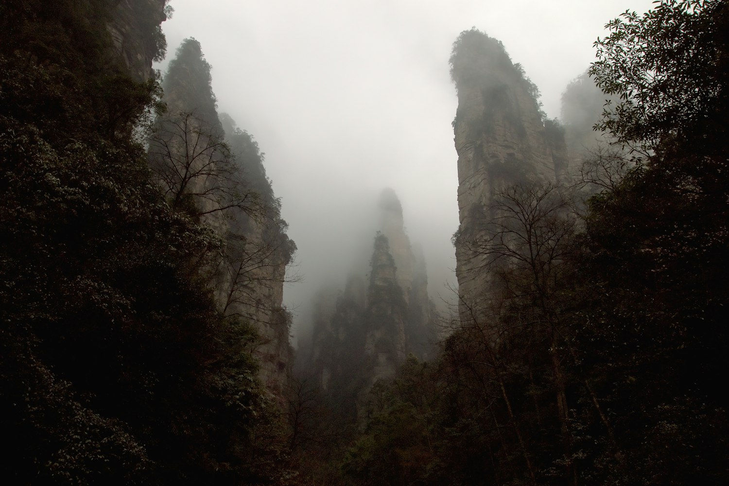 张家界景区门票免费政策.2021年张家界景区免门票政策? 张家界景区门票免费政策.2021年张家界景区免门票政策?