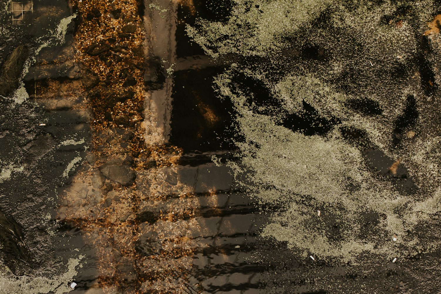 中国广州前十灵异事件(广州的灵异事件)