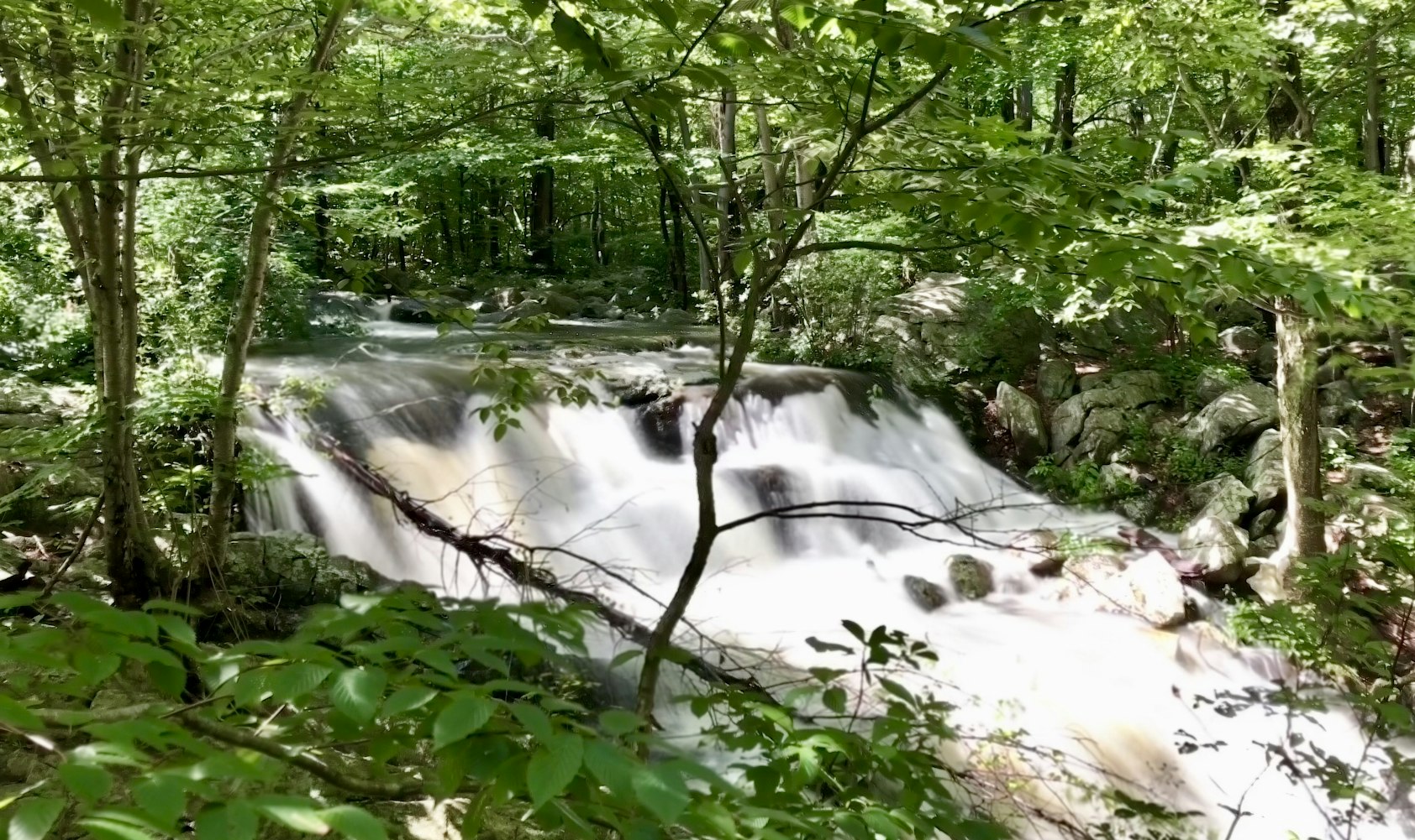 【从化溪头村旅游攻略,从化溪头村游记】