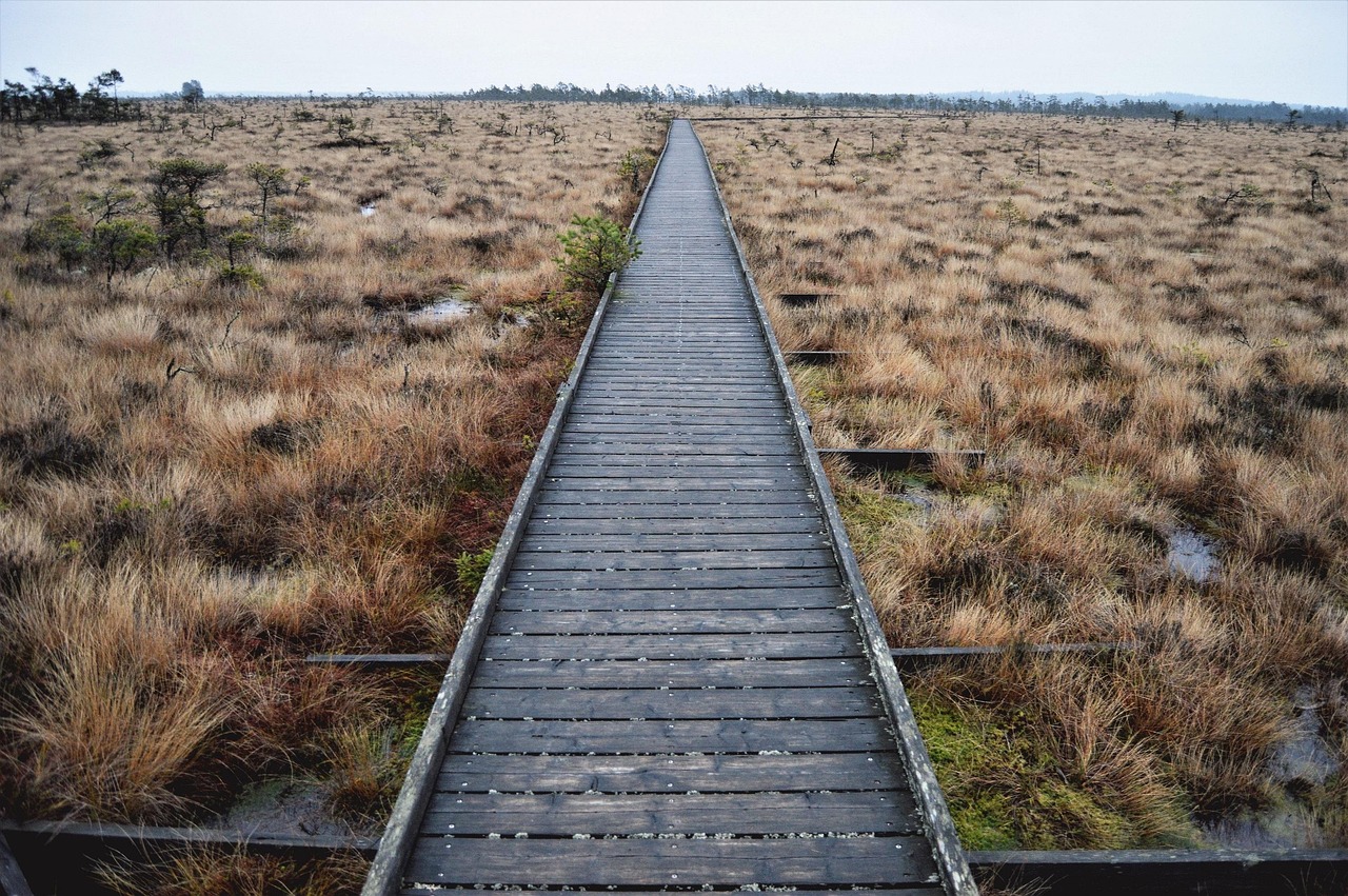 三亚8个必去的免费公园.三亚8个必去的免费公园有哪些？