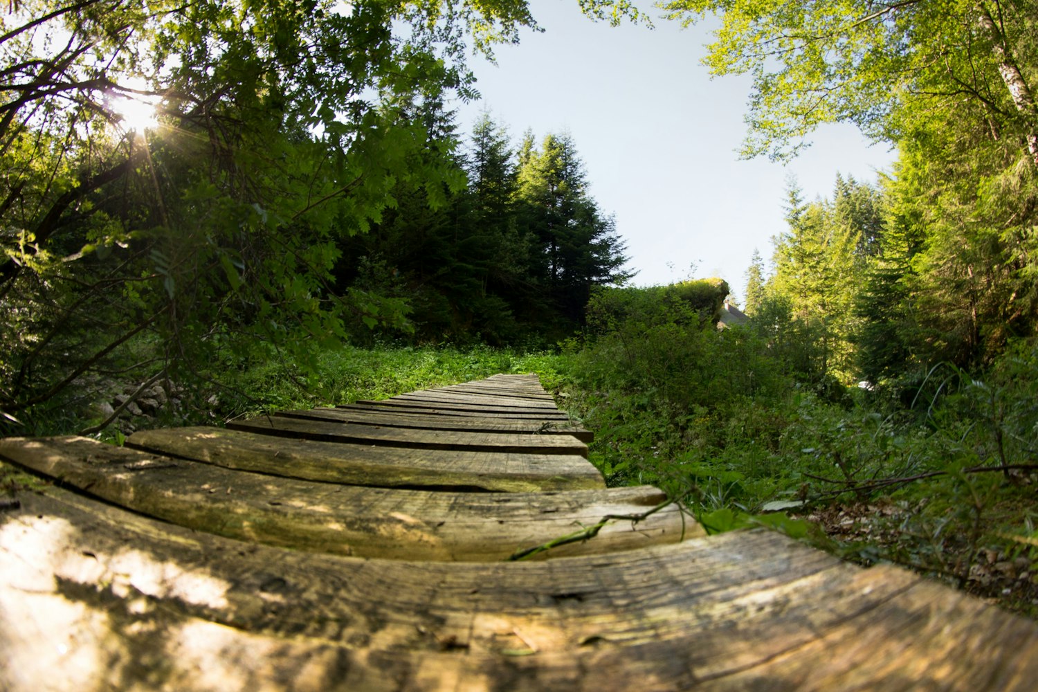西安纯玩三日游/西安3日游最详细方案