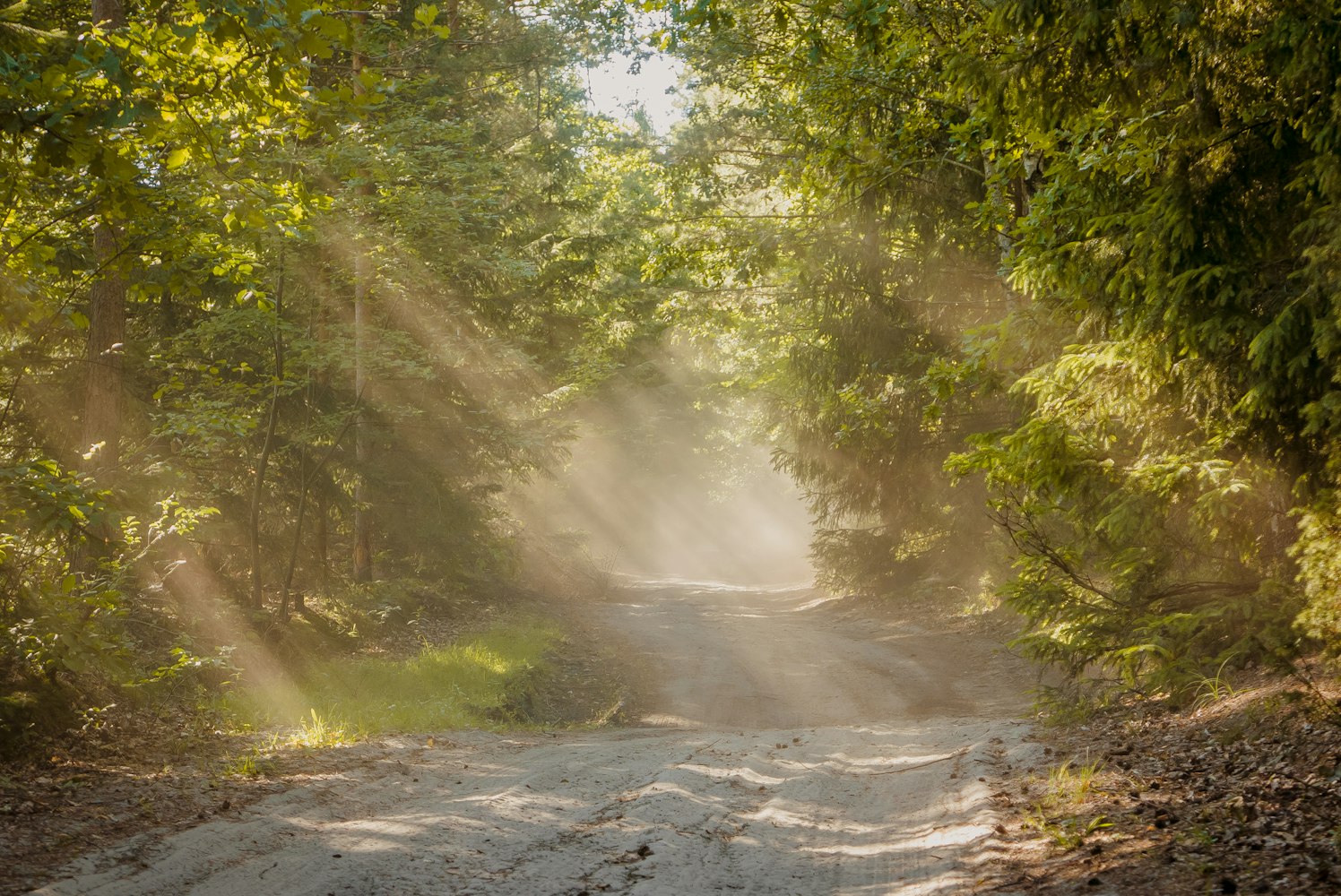 【九寨沟图片风景图片真实,九寨沟图片 风景】