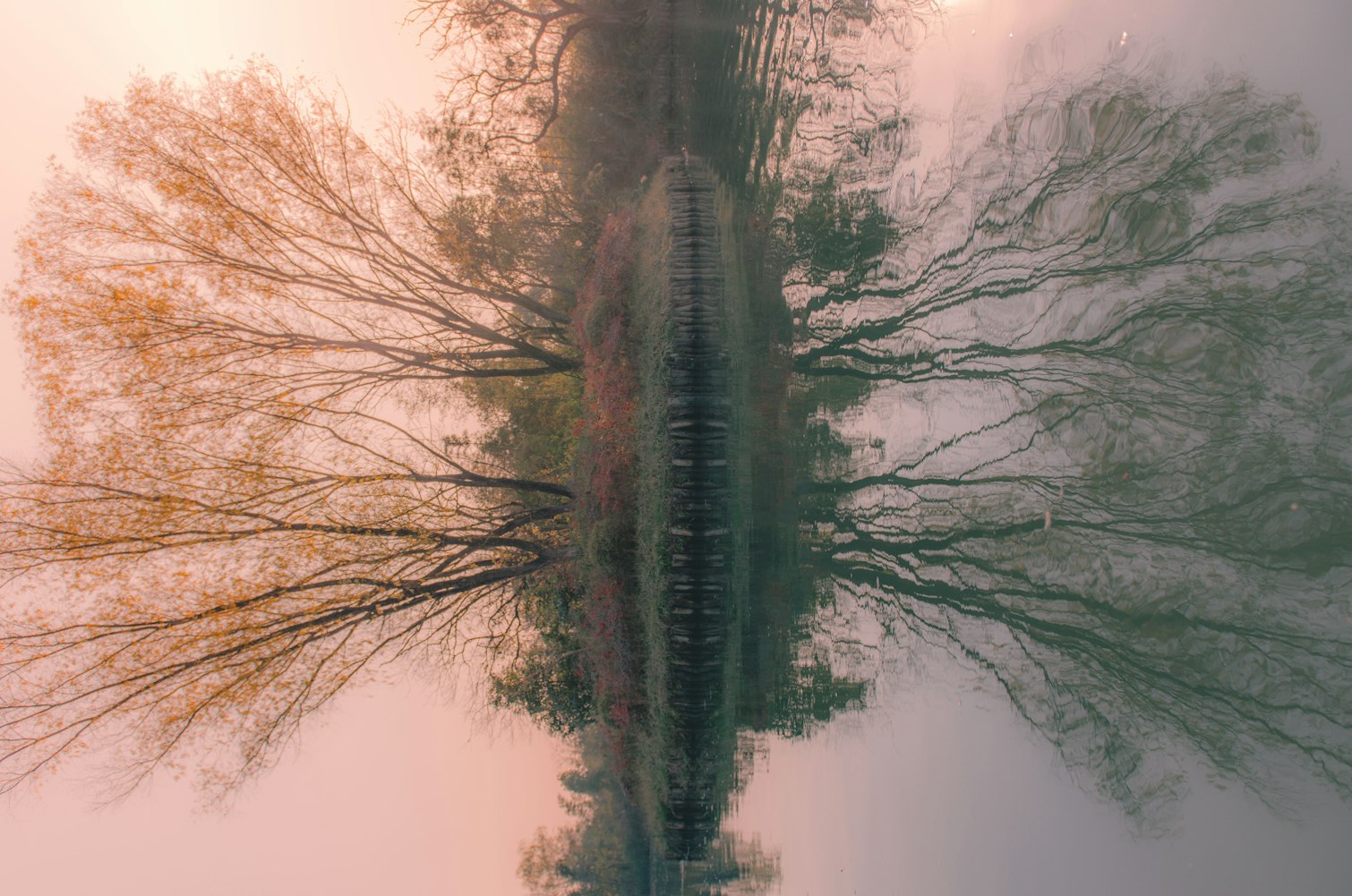 【外星飞碟之谜,外星飞碟真实事件】