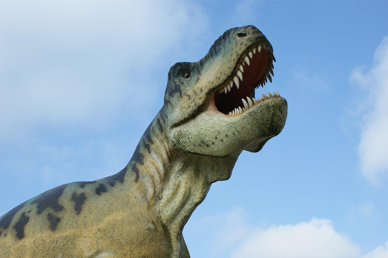 卡布罗龙是恐龙吗(卡布罗龙是恐龙吗为什么)