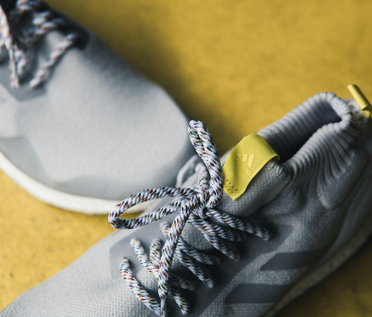 【真足蛇长什么样,真足蛇长什么样子图片】