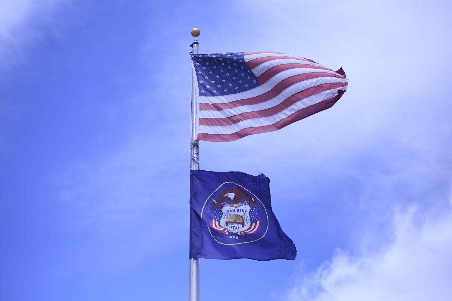 美国国旗有多少星星/美国国旗有多少星星?