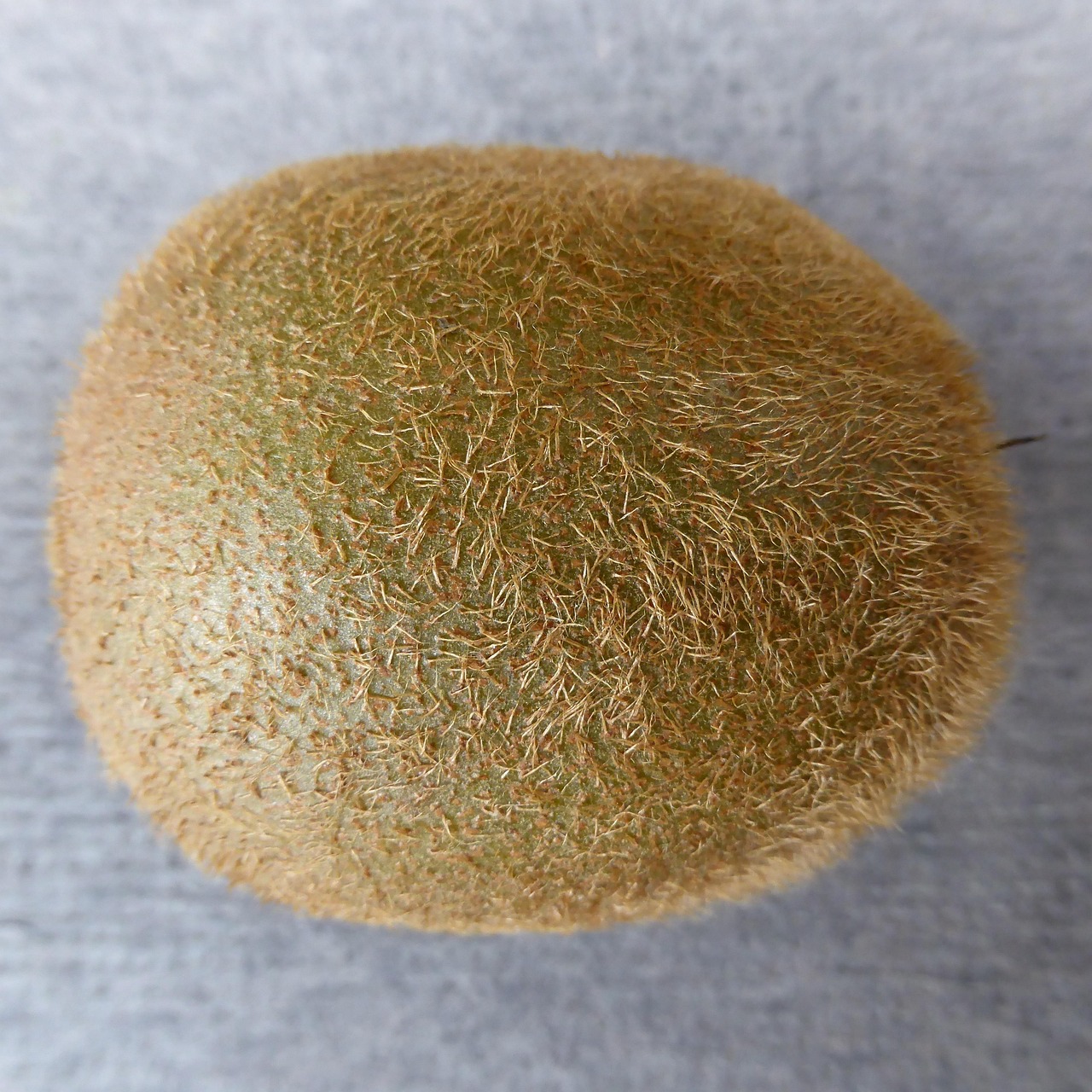 【世界前十木蜡油品牌,木蜡油品牌推荐】