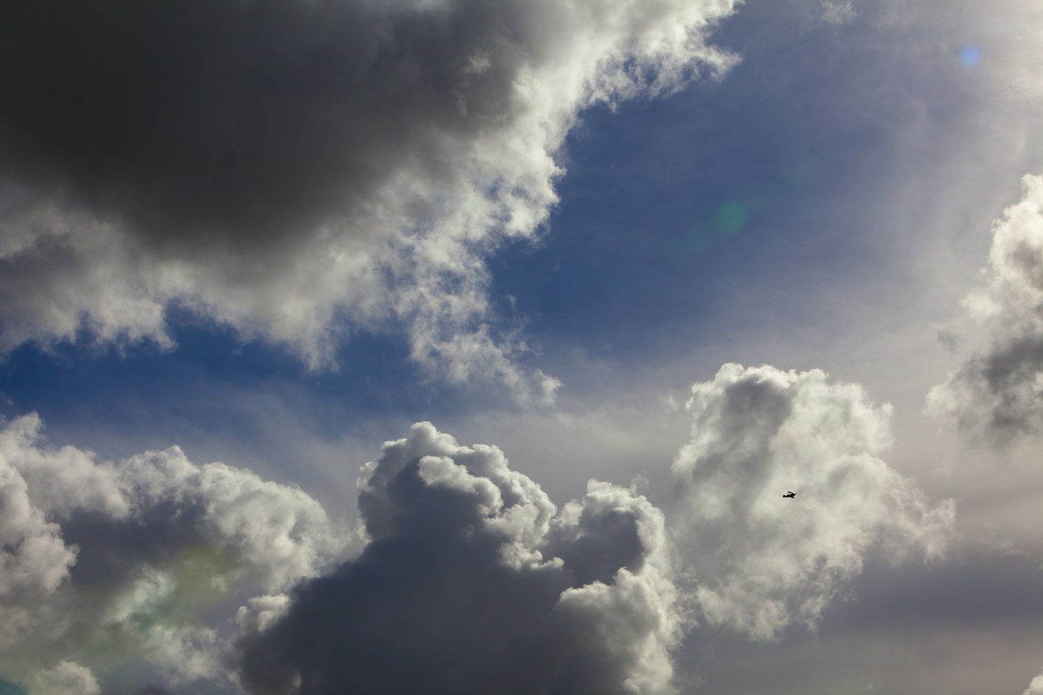 伊春天气.伊春天气预报7天一周？