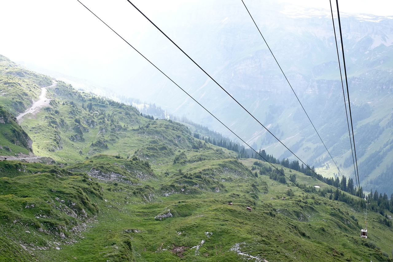 【华山一日游最佳路线攻略,华山一日旅游攻略】