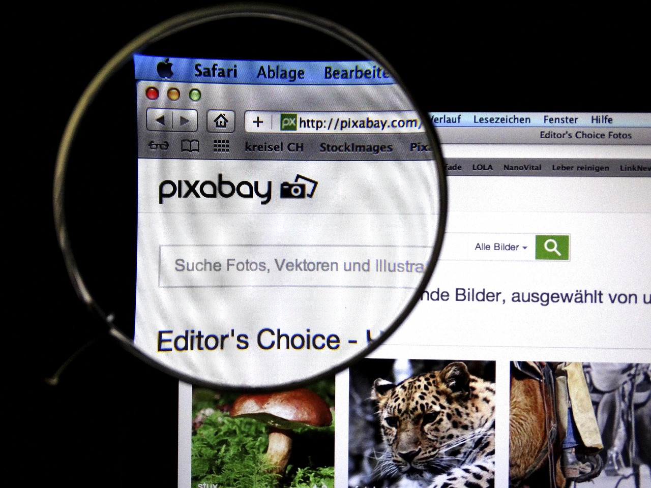 抖音达人排名榜(抖音达人排名榜在哪里看)