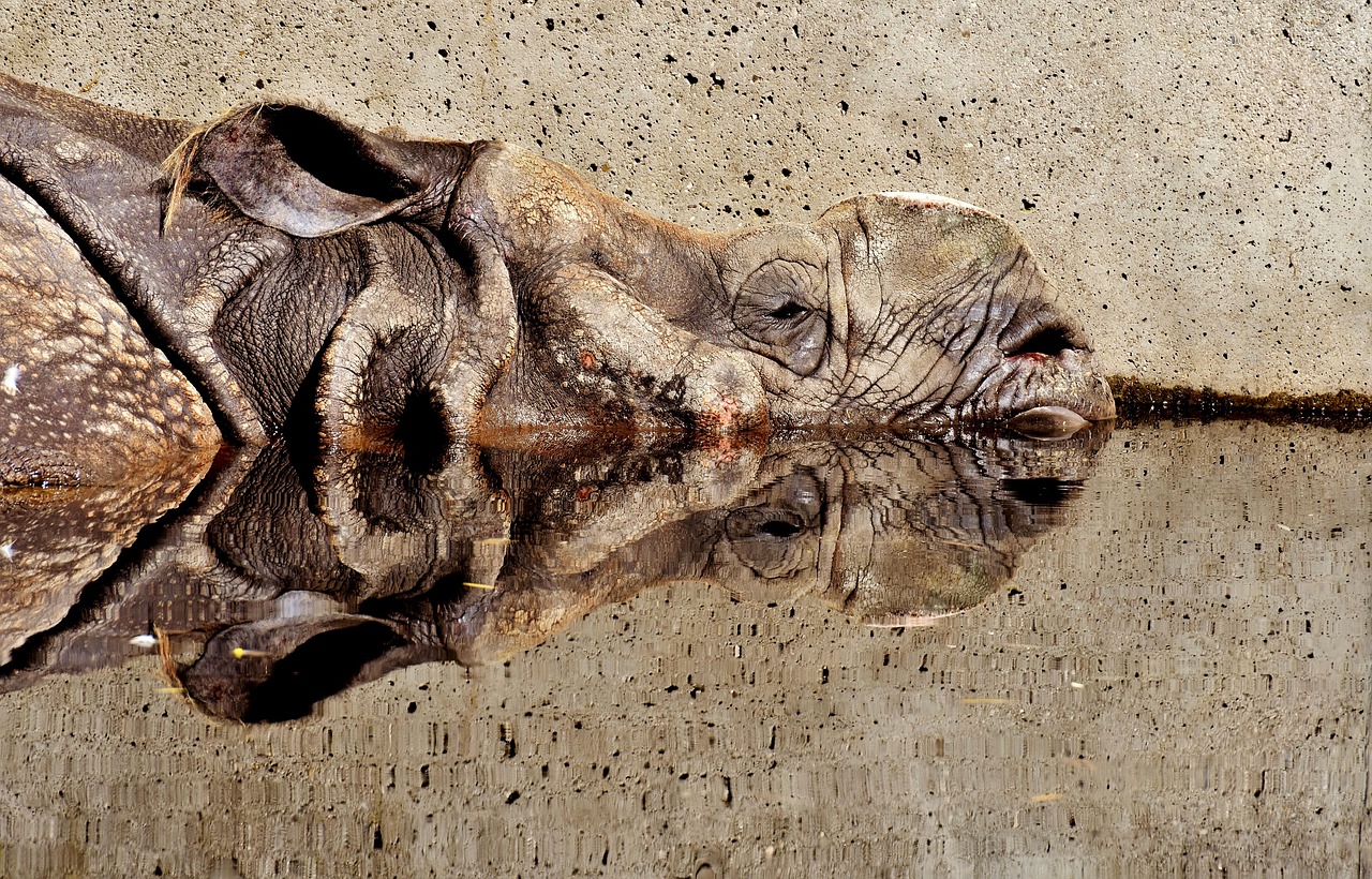 世界八大恐怖生物.世界八大恐怖生物图片? 世界八大恐怖生物.世界八大恐怖生物图片?