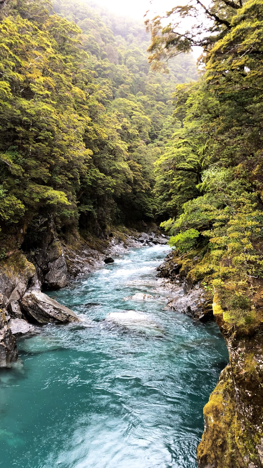 亚龙湾热带森林公园.亚龙湾热带森林公园游玩攻略？