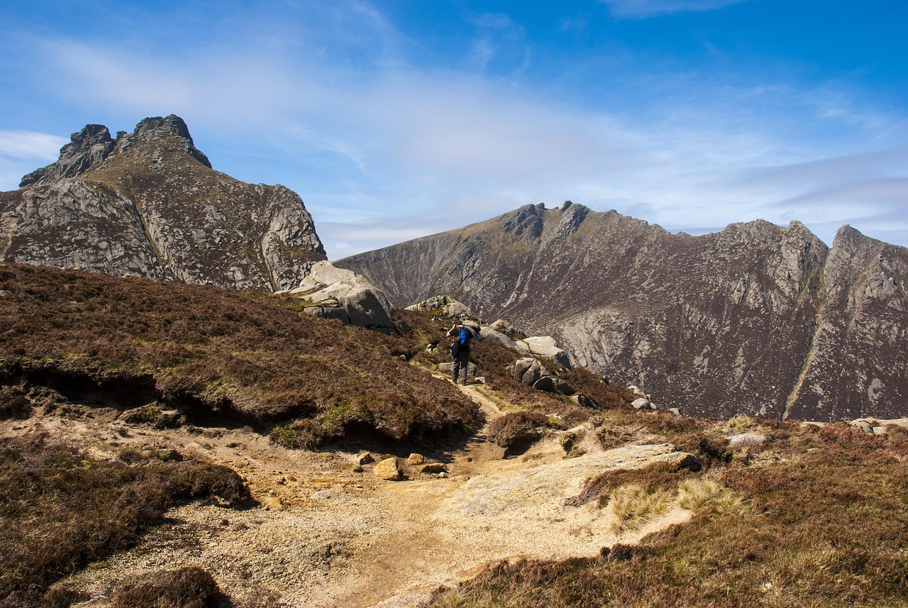 【大青山国家级自然保护区,大青山国家级自然保护区野生动物录像】