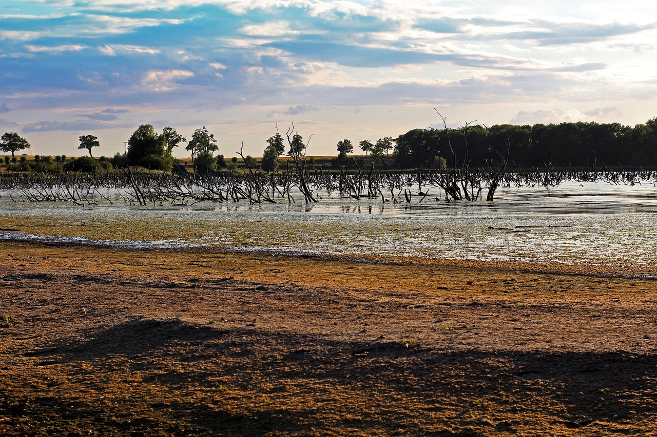 海口疫情几类地区最严重(海口疫情是哪个区) 海口疫情几类地区最严重(海口疫情是哪个区)