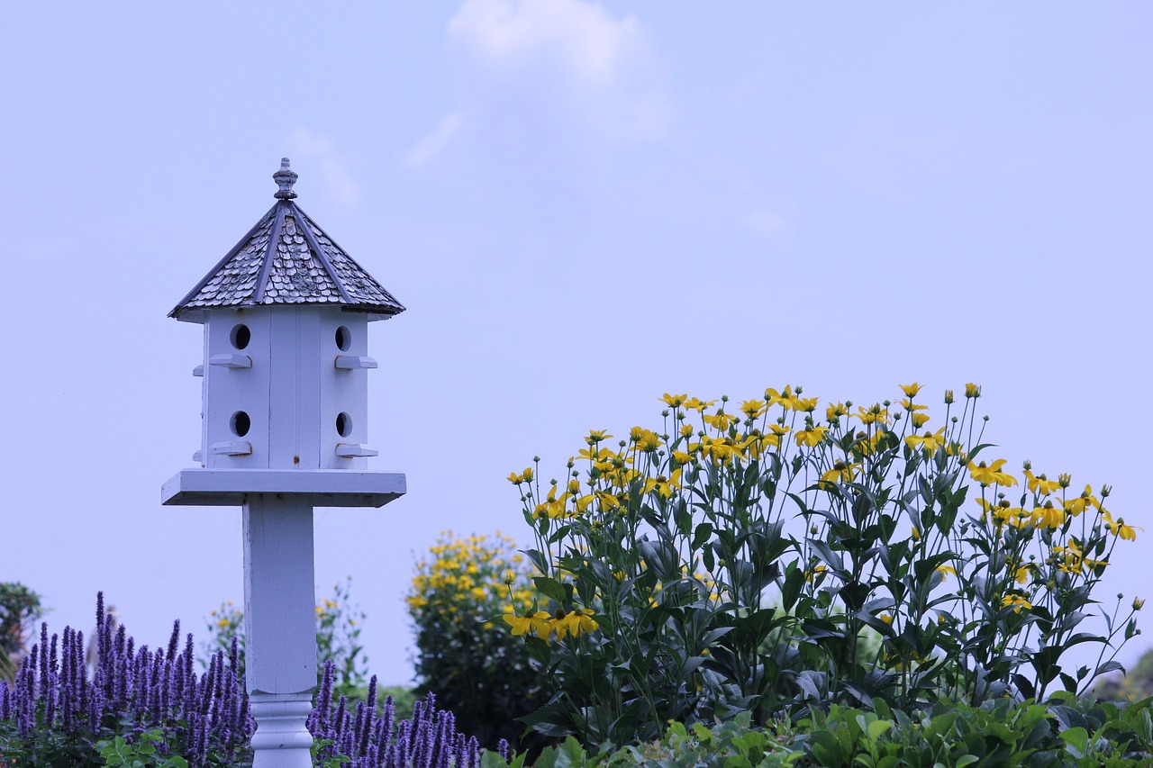 永定土楼旅游攻略如何玩.永定土楼旅游攻略如何玩视频？