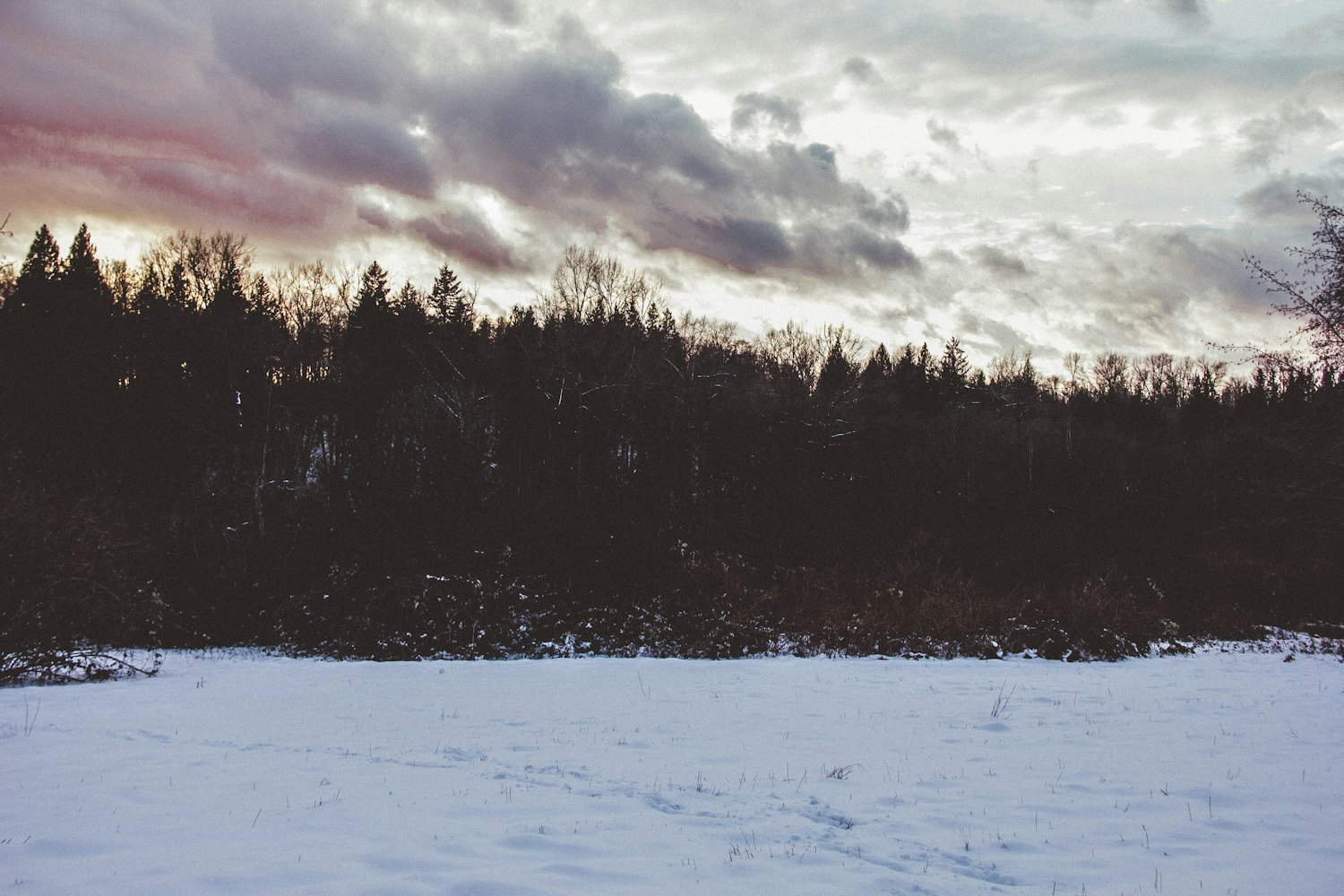 【玉龙雪山攻略一日游,玉龙雪山的游玩攻略】