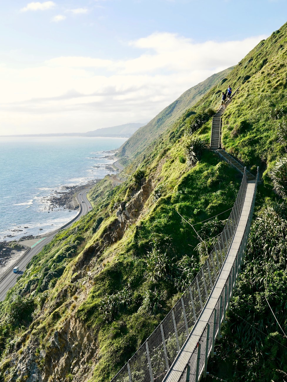 庐山旅游攻略一日游路线图(庐山旅游攻略一日游路线图最新)