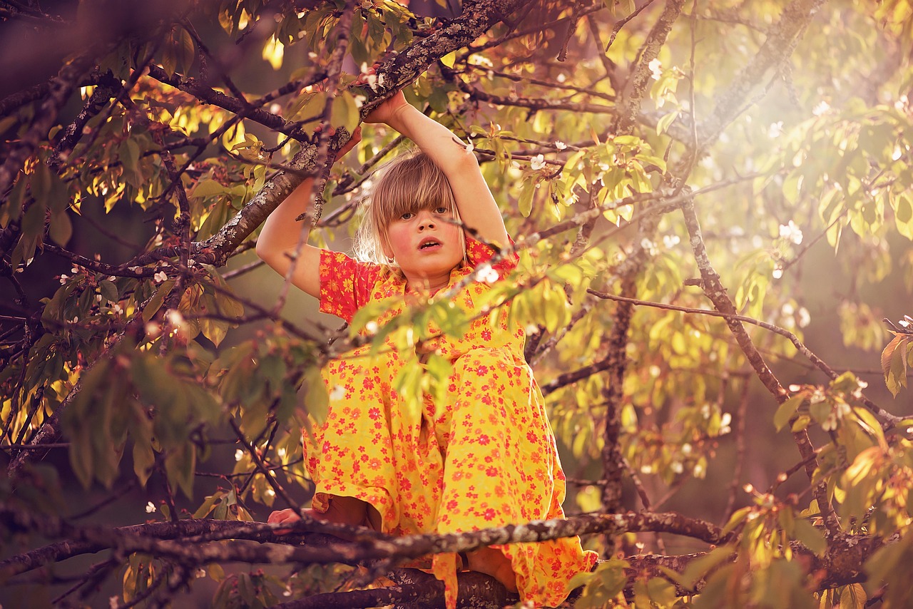 【美人鱼没在衣服在地上爬,美人鱼在地上努力爬】