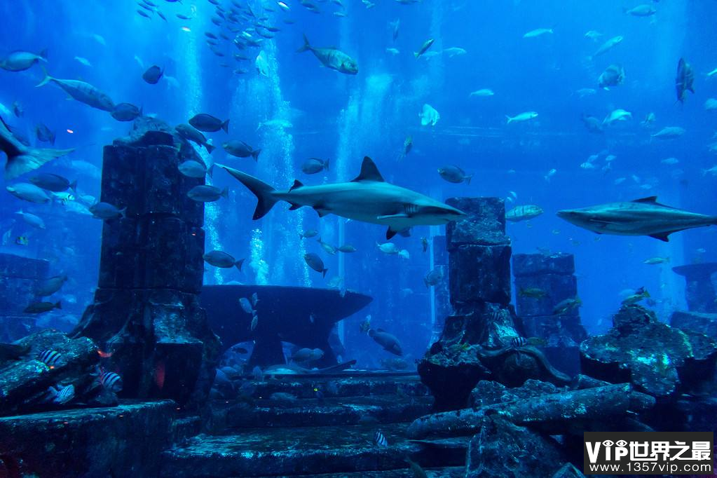 亚特兰蒂斯的海底人(亚特兰蒂斯海底遗迹在哪里)-第1张图片