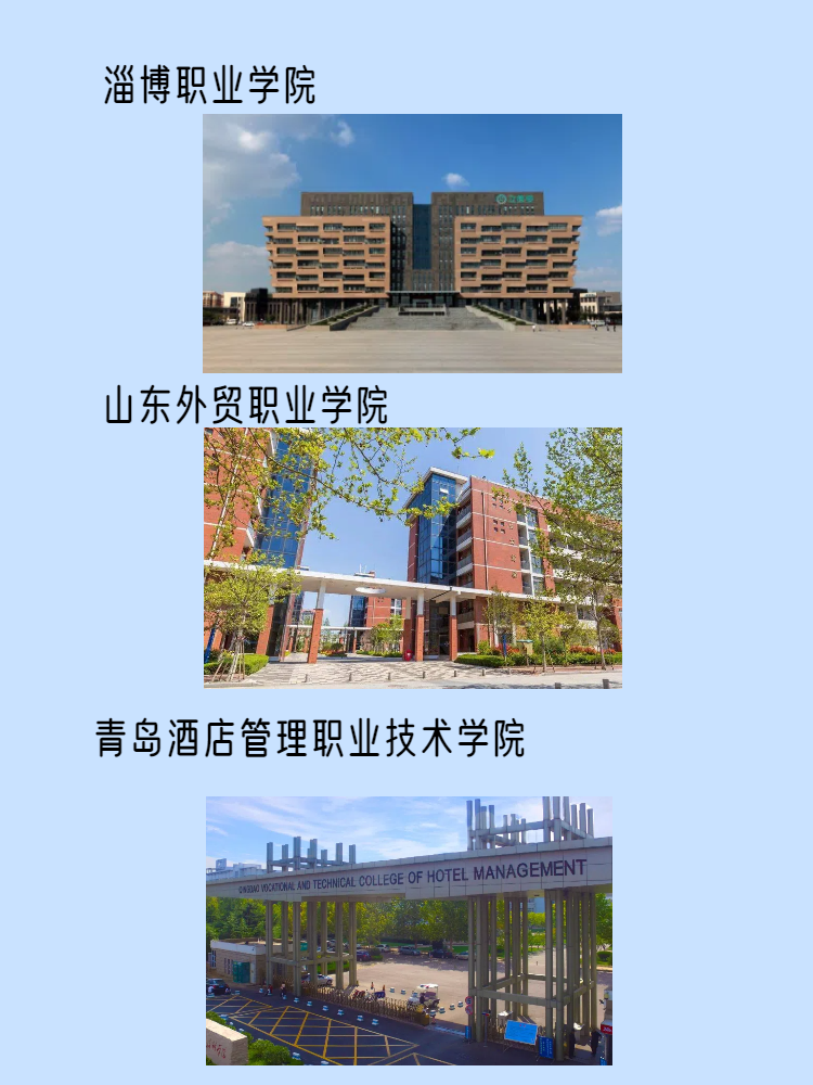 山东前十比较好的职业院校(山东公办大专排名)-第3张图片