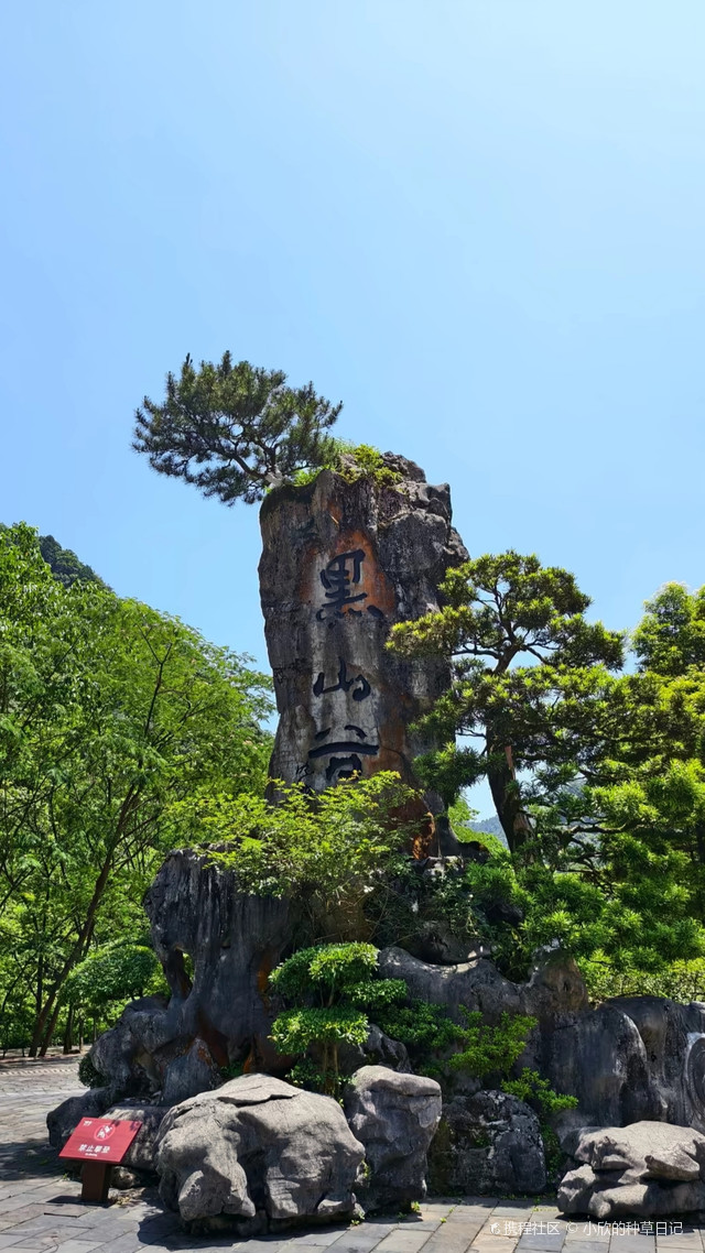 重庆黑山谷旅游攻略/重庆黑山谷景区门票-第2张图片