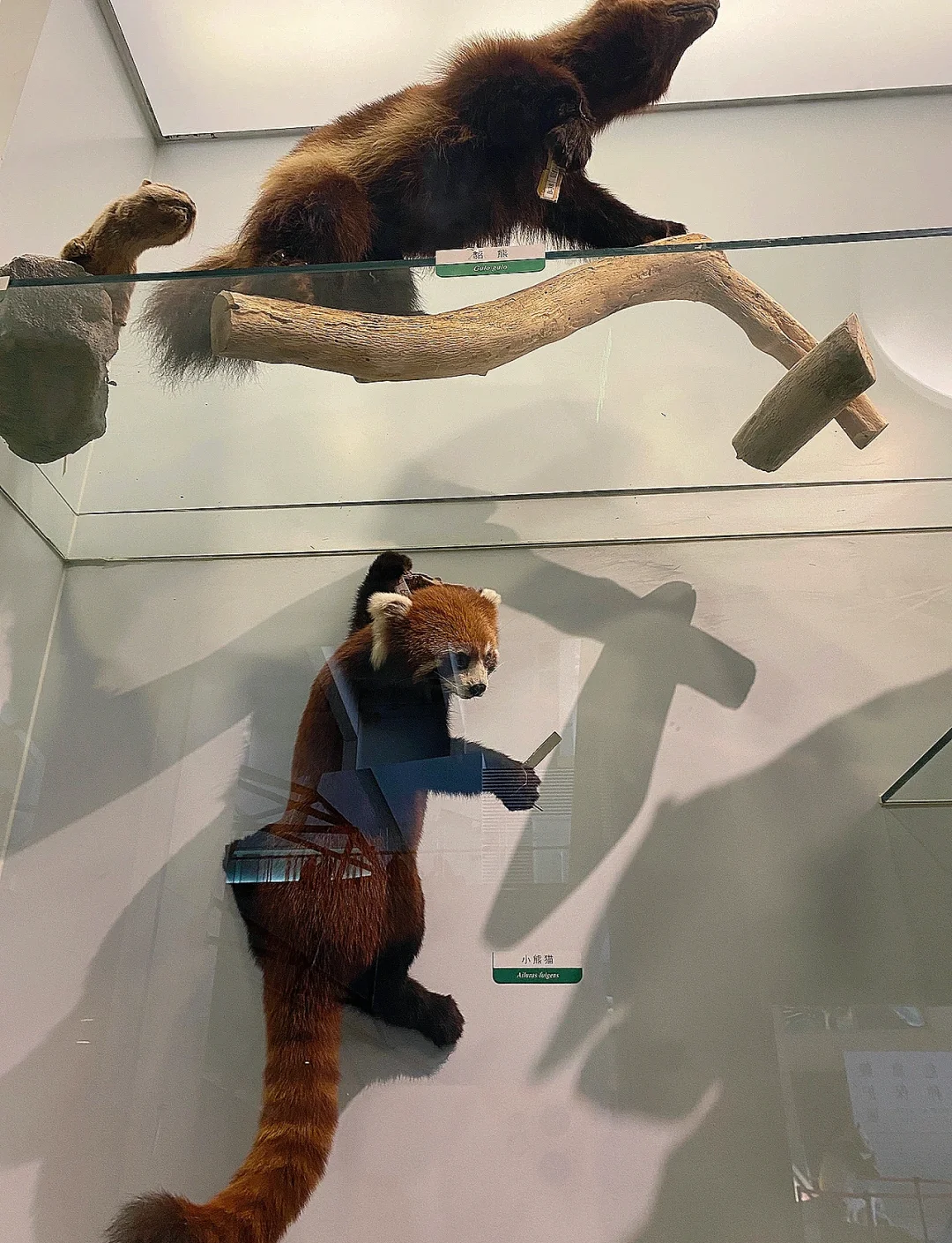 国家博物馆线上展厅.国家博物馆线上展厅门票?-第1张图片