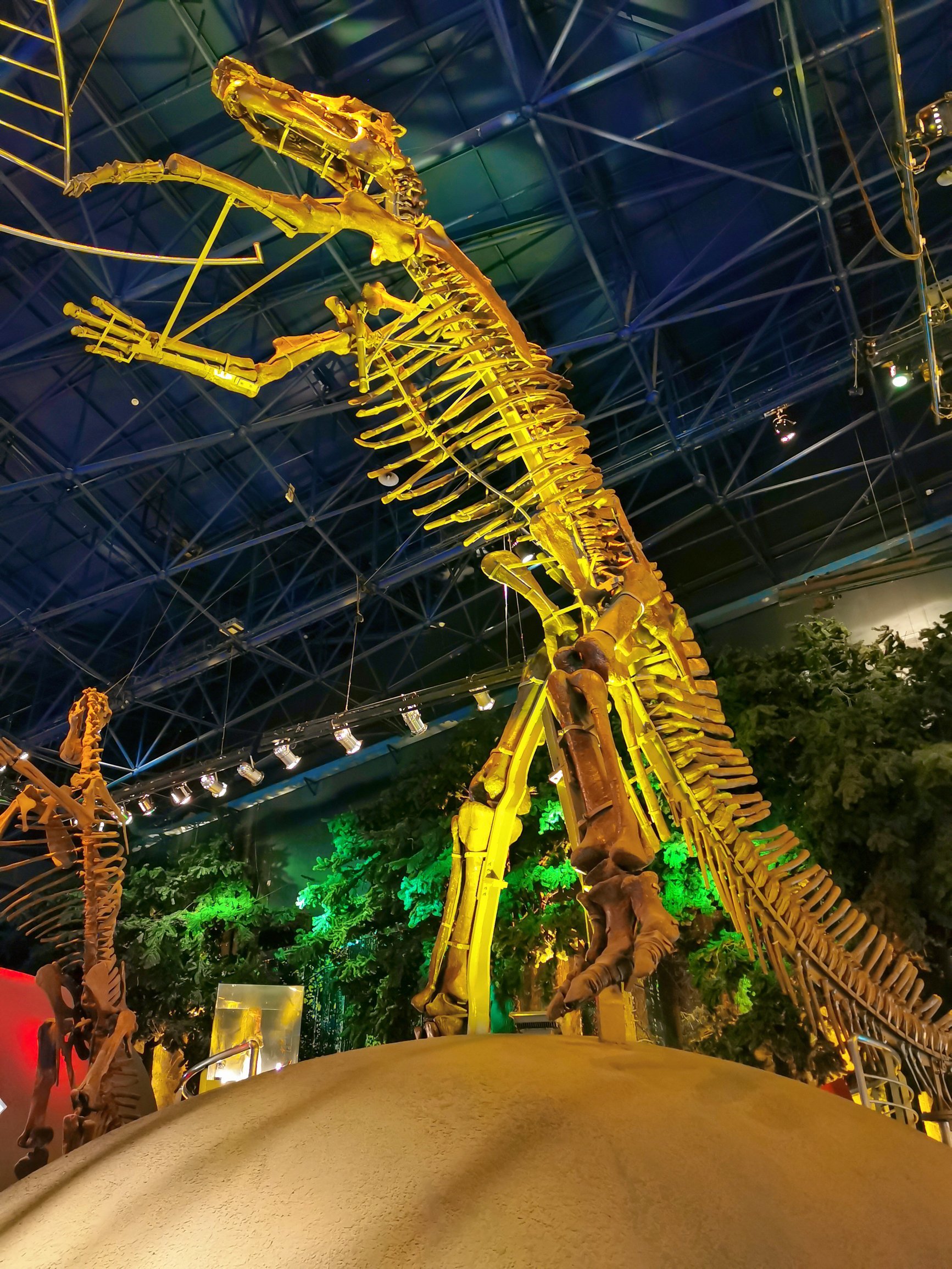 常州恐龙园攻略带孩子/常州恐龙园门票好玩吗-第1张图片