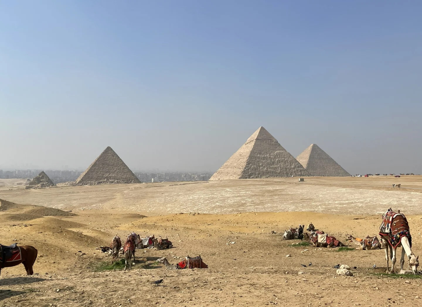 【去埃及旅游后悔死了,去埃及旅游需要签证吗】-第2张图片