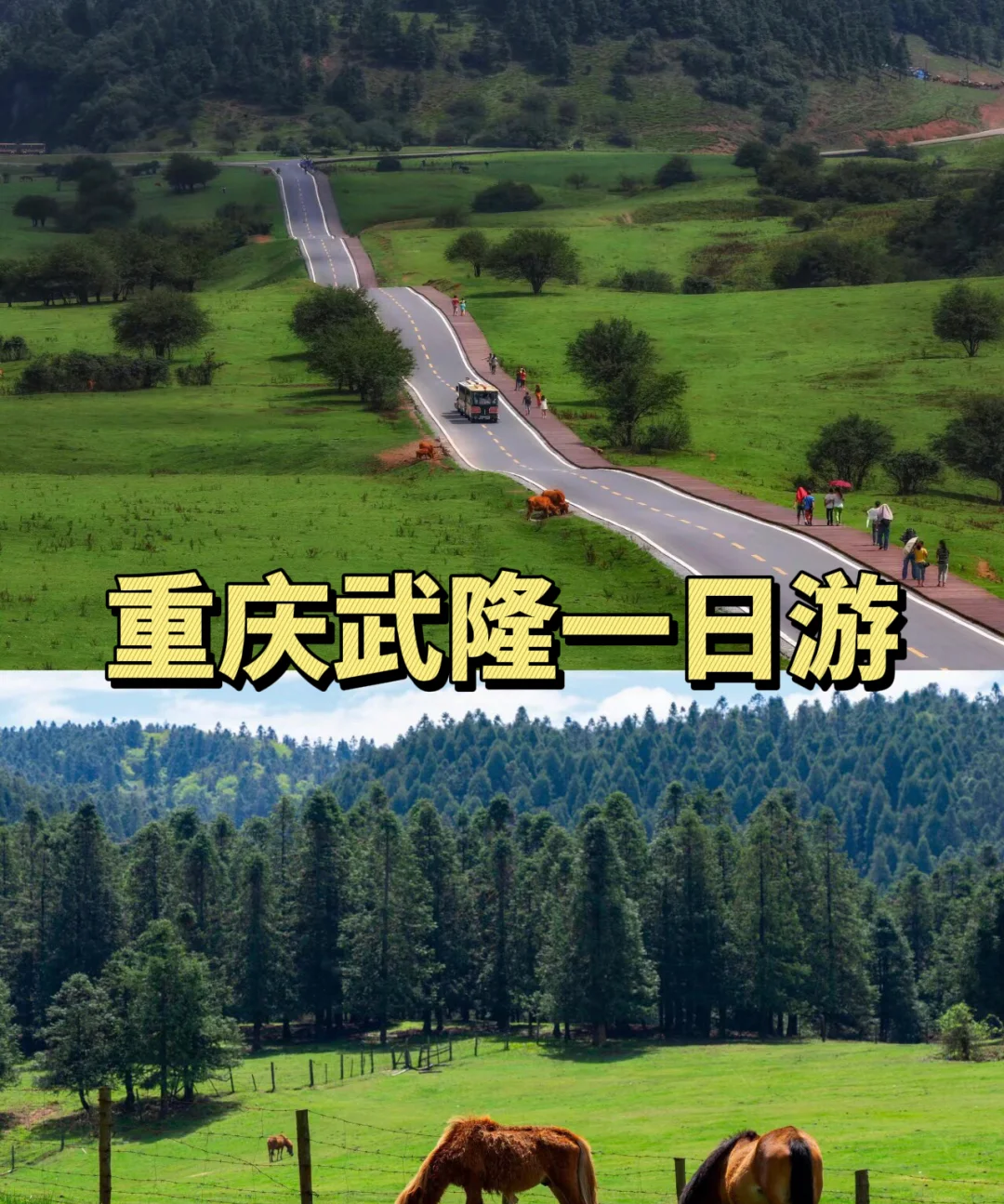 武隆天坑/武隆天坑景区门票-第2张图片