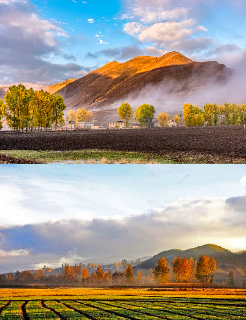 11月全国旅游最佳排名(11月全国旅游最佳排名适合老人)-第2张图片