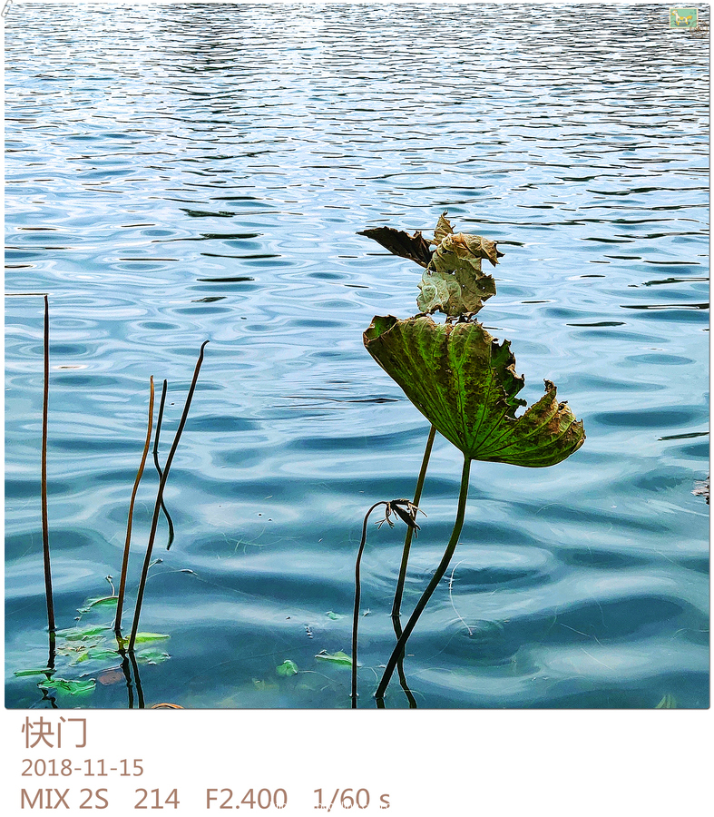 【玉渊潭疫情风险地区图片,玉渊潭地图鸟瞰】-第2张图片