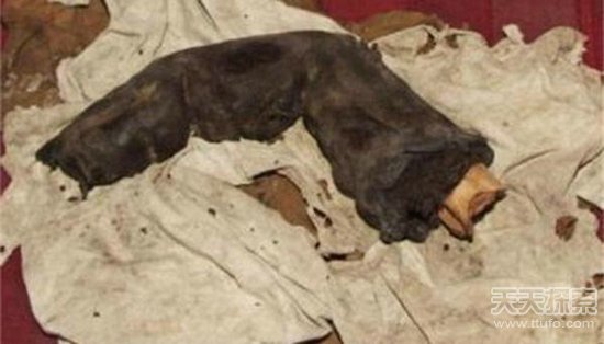 奇异世界未解之谜/未解之谜 奇闻异事 世界之最进行借鉴借鉴-第1张图片