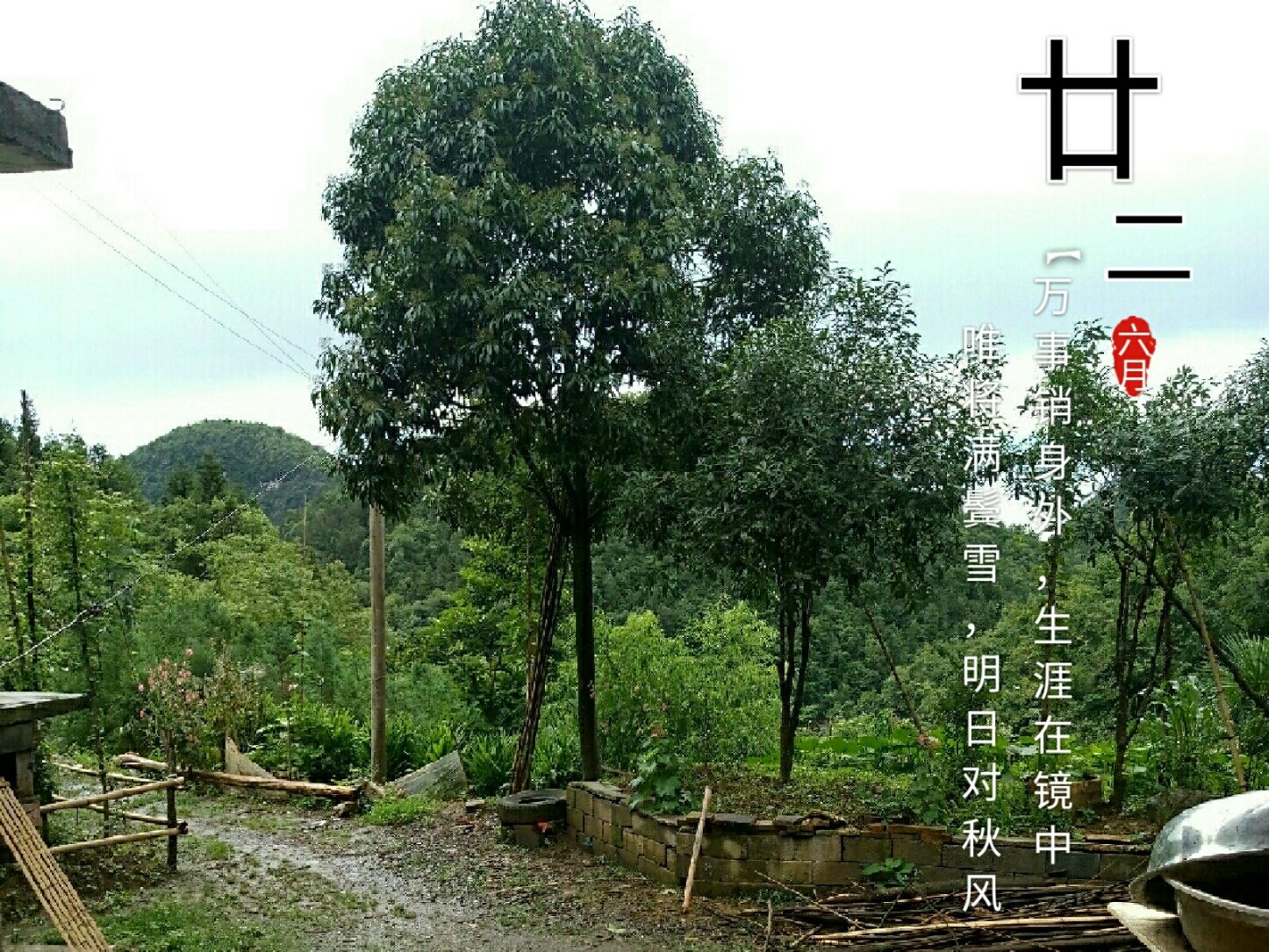 湖北恩施天气预报15天(湖北恩施天气预报15天旅游攻略)-第2张图片