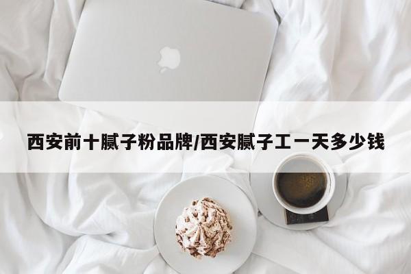 西安前十腻子粉品牌/西安腻子工一天多少钱